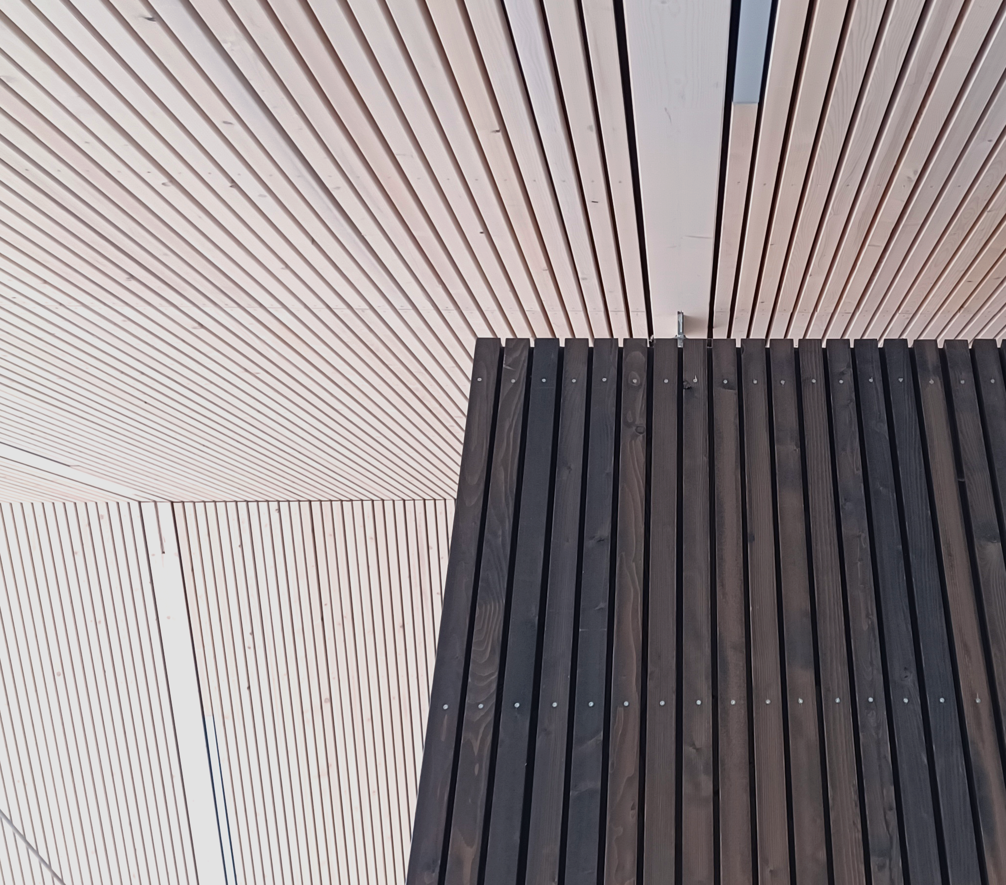 20250207_162416-ausschn